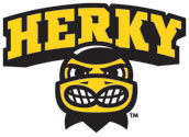 University of Iowa Herky Head Wordmark Vinyl Car Decal